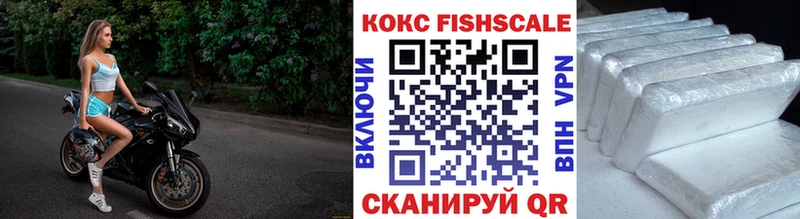 Купить закладки  Балаково  COCAIN Эквадор 